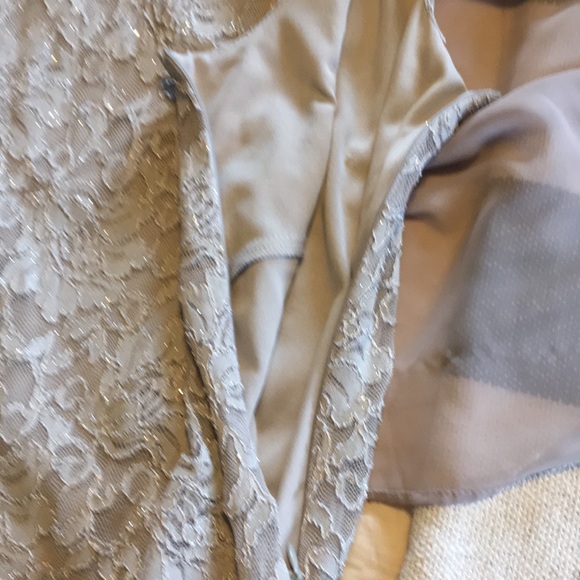 Ronnie Nicole mother of the bride dress - Picture 9 of 12